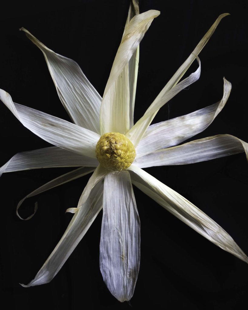 Foodfotografie · Stilllebenfotografie · Produktfotografie für Lebensmittel · Konzeptuelle Fotografie Lydia Argilli