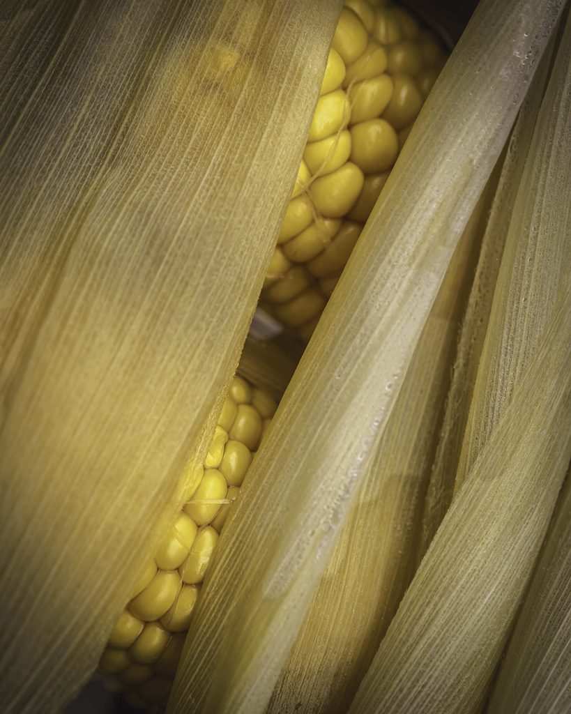 Foodfotografie · Stilllebenfotografie · Produktfotografie für Lebensmittel · Konzeptuelle Fotografie Lydia Argilli